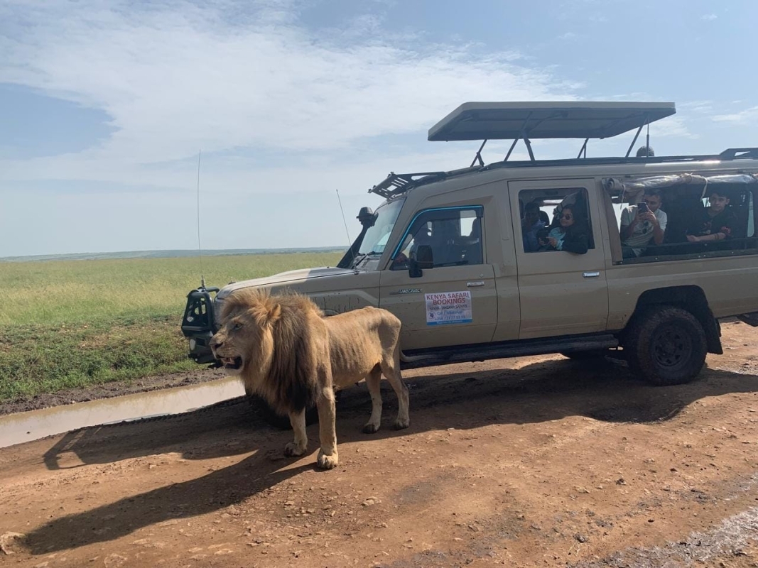 7 Days Luxury Kenya Safari - Private tour 1