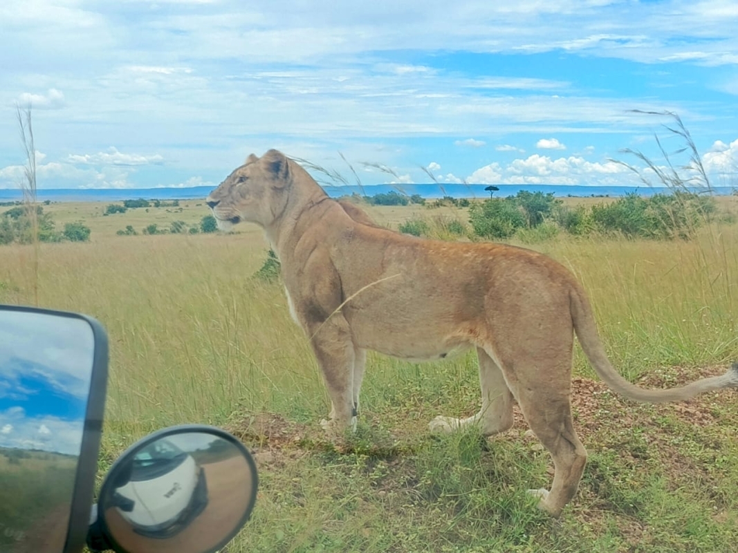 7 Days Luxury Kenya Safari - Private tour 3