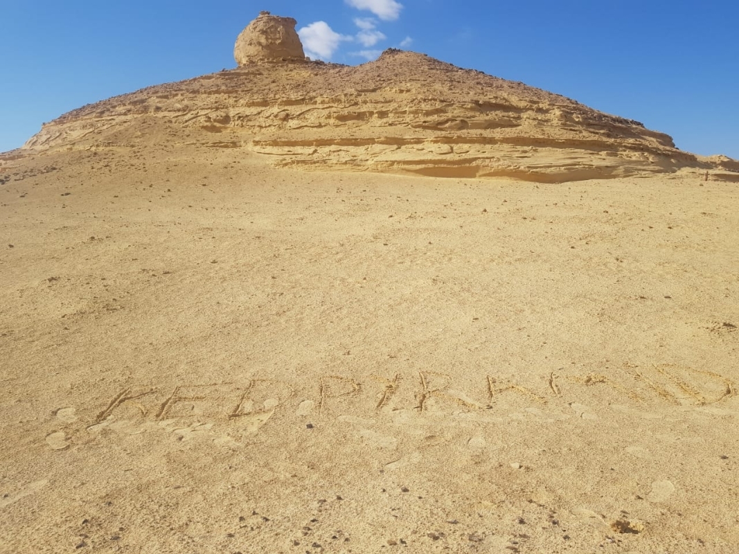 Fayoum Oasis and Waterfalls of Wadi El Rayan Tour from Cairo 6