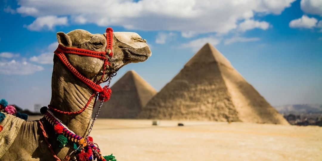 Half day pyramid and sphinx 6