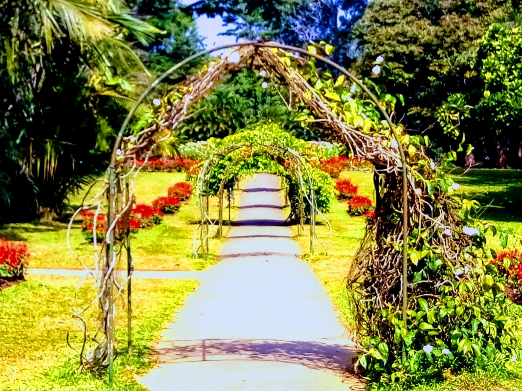 LUXURY DAY TOUR TO KANDY 8