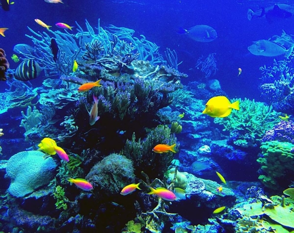 Nha Trang half-day private city tour 2