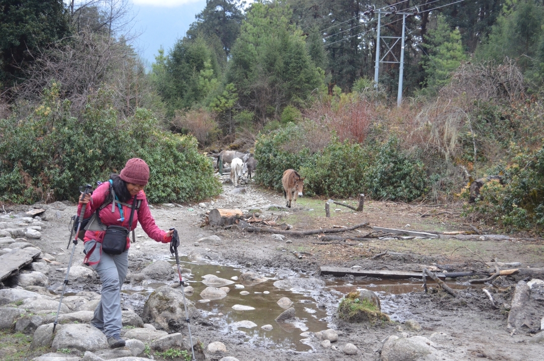 Bhutan- Special Ladies Gateaway 8