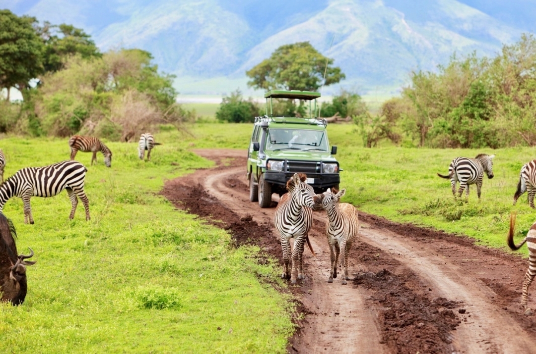 15-Day Kilimanjaro Climb, Serengeti Safari, and Zanzibar Beach Holiday 1