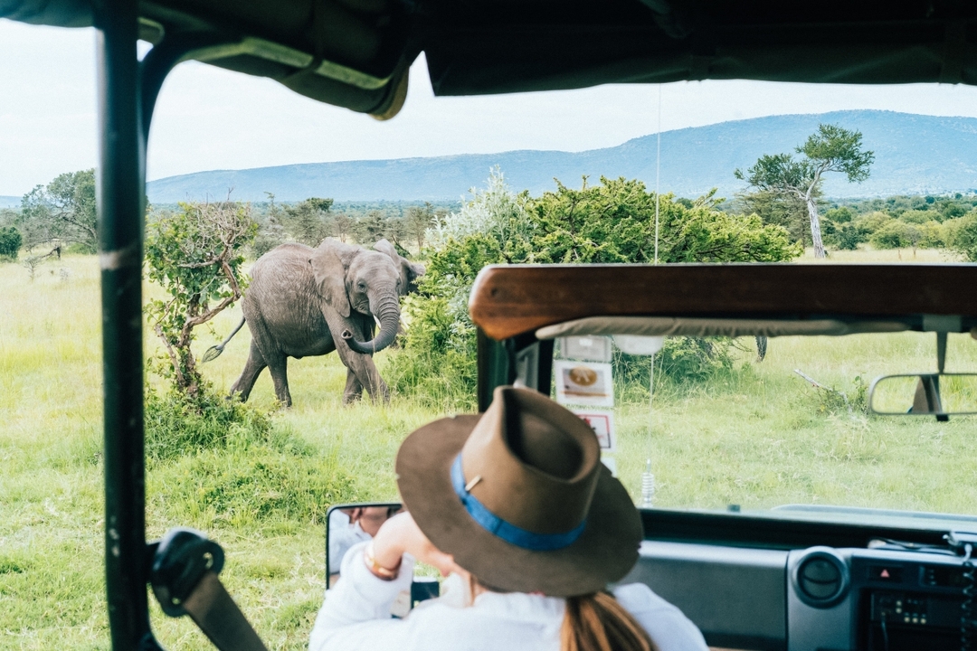 8 Days Masai Mara, Lake Nakuru, Lake Naivasha, Amboseli, Tsavo West and Tsavo East Safari 6