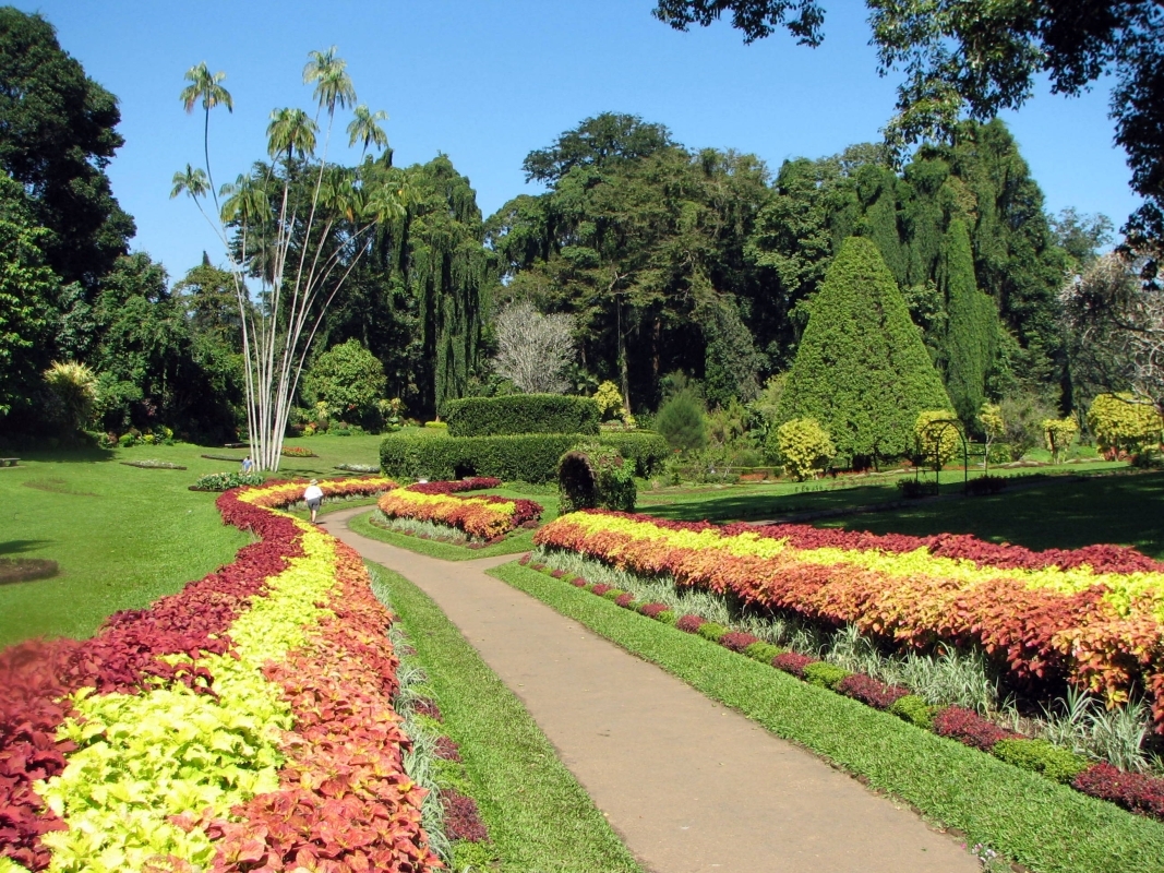 DELIGHT OF CEYLON ( 3 Days/2Nights) 10