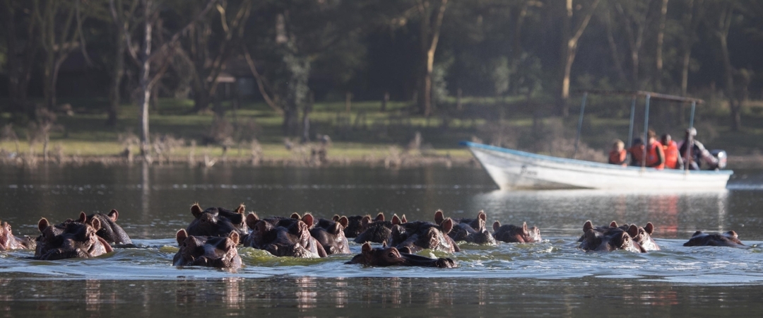 8 Days Experience Kenya Famous Parks Safari on 4x4 Landcruiser Jeep 5