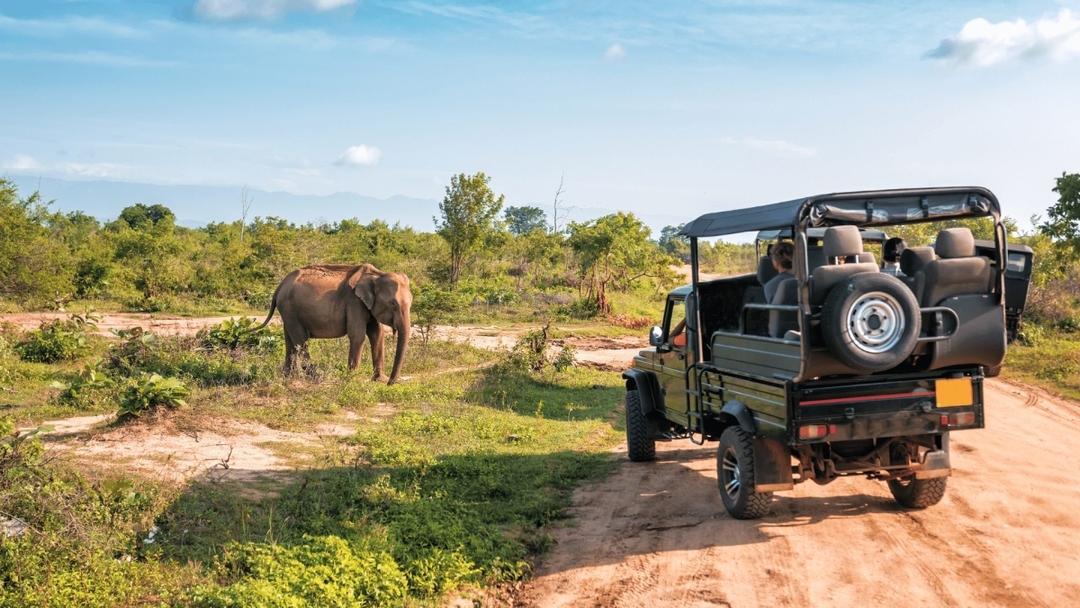 Sri Lanka Wildlife Safari Tour 6