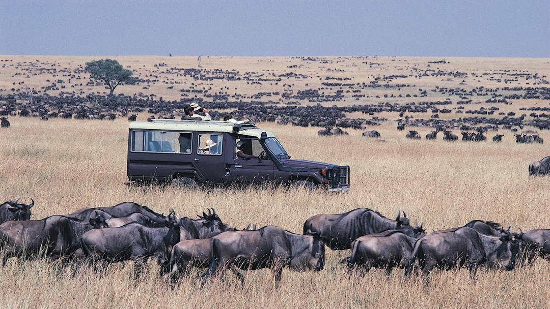 7 Days Kenya Wildlife Safari Combined with Hot Air Balloon Ride Experience 8
