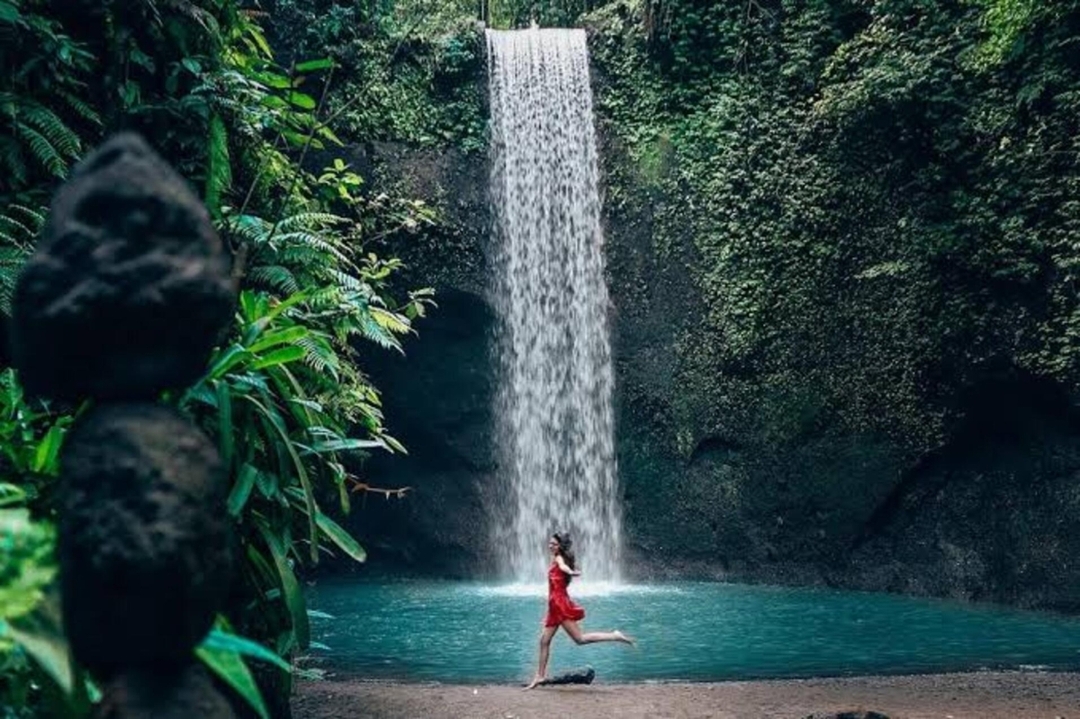 Monkey forest, Rice terrace, Tirta empul, Waterfall 5
