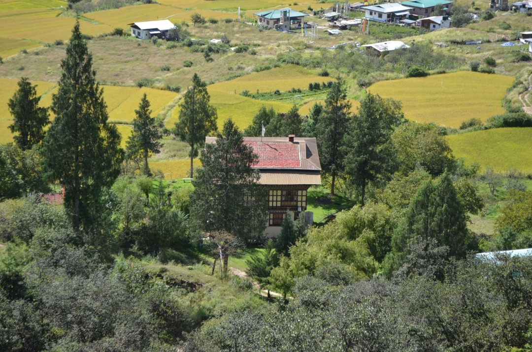 WALK WITH NATIVE TOURS 2