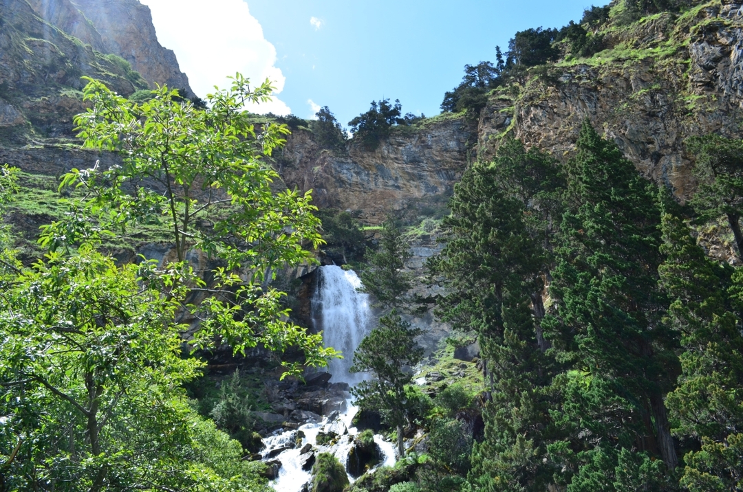 WALK WITH NATIVE TOURS 3