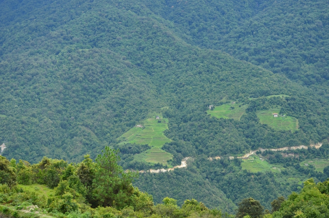 WALK WITH NATIVE TOURS 5