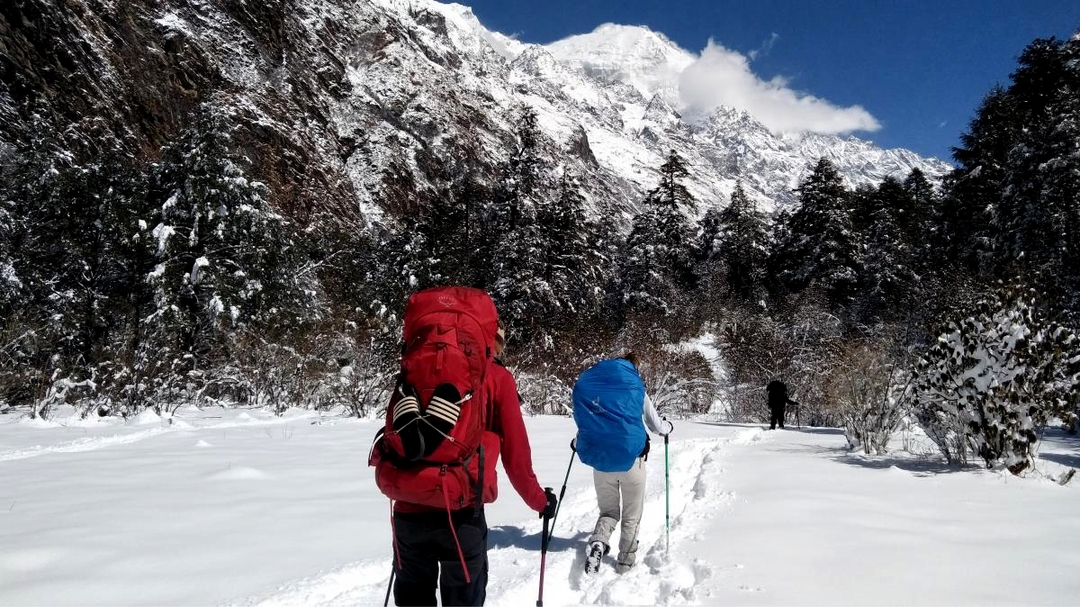 Langtang Valley Trekking- Explore the hidden gems of the region 4