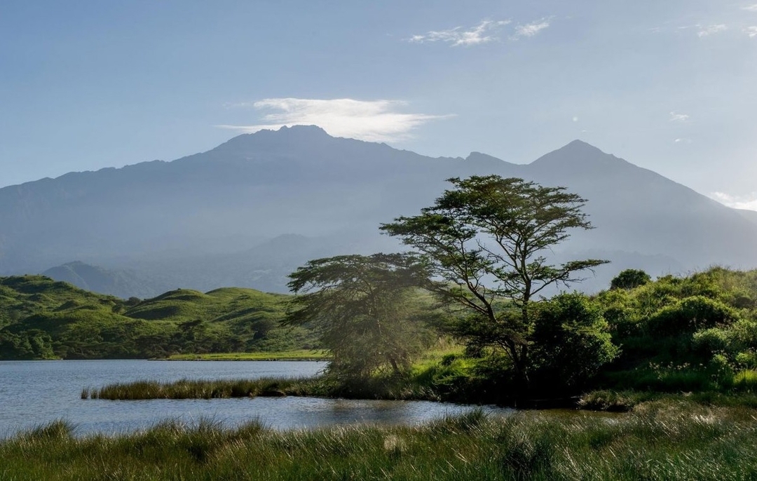 Day Tour Safari To Arusha National Park 1