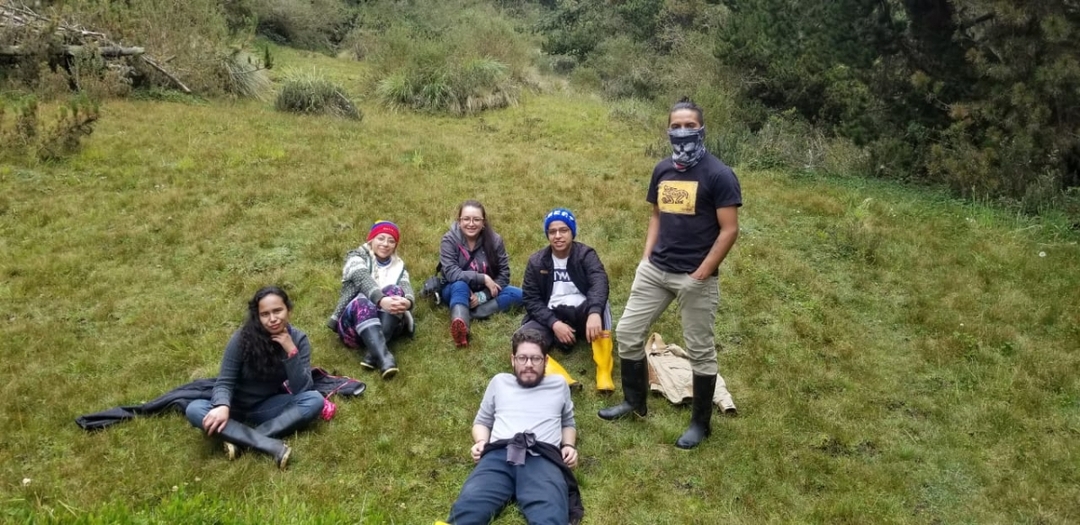 Winds of Paramo 6