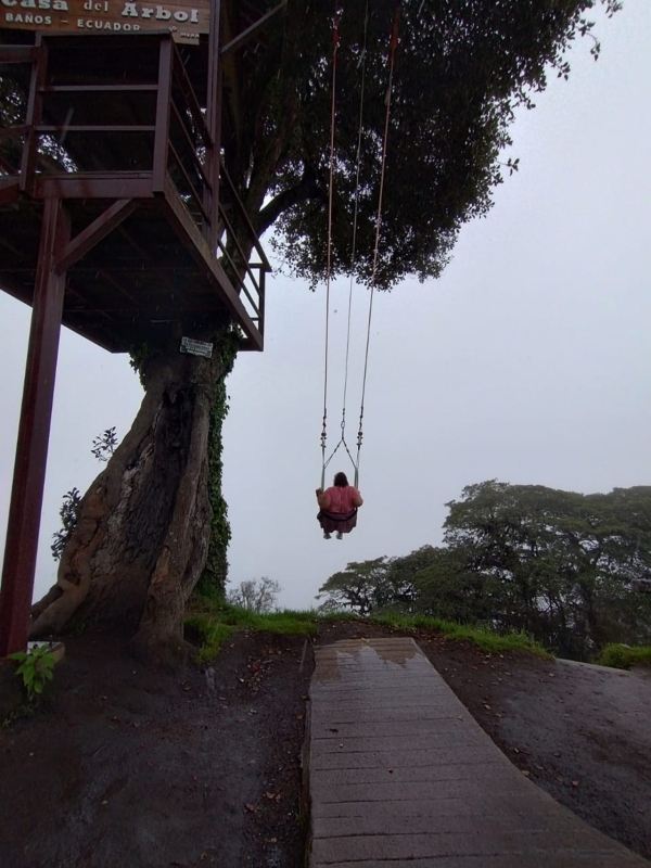 Adventure in the Rainforest 5