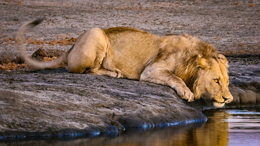 Exclusive 5-Day Safari from Nairobi: Aberdare, Nakuru & the Wild Masai Mara 8