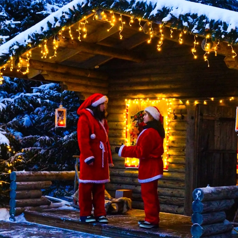 Finland 5 Day Winter Holidays 8
