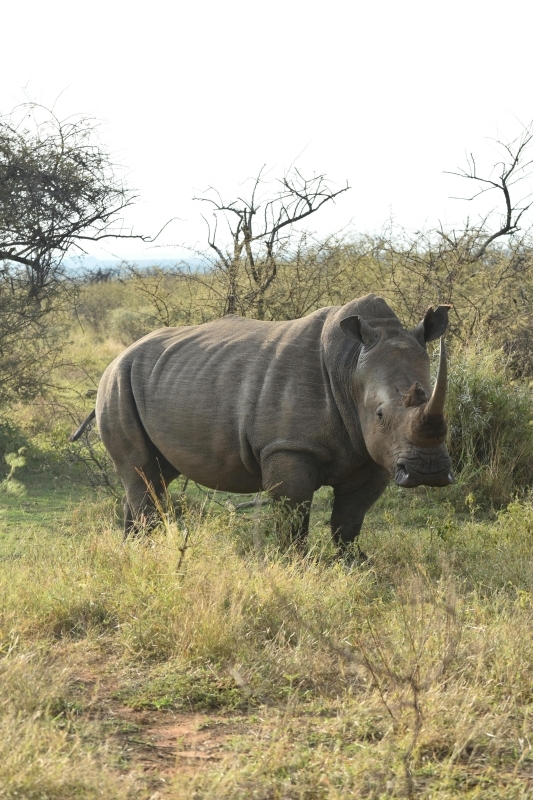 6 Day Uganda Primate Safari and Wildlife Tour 7