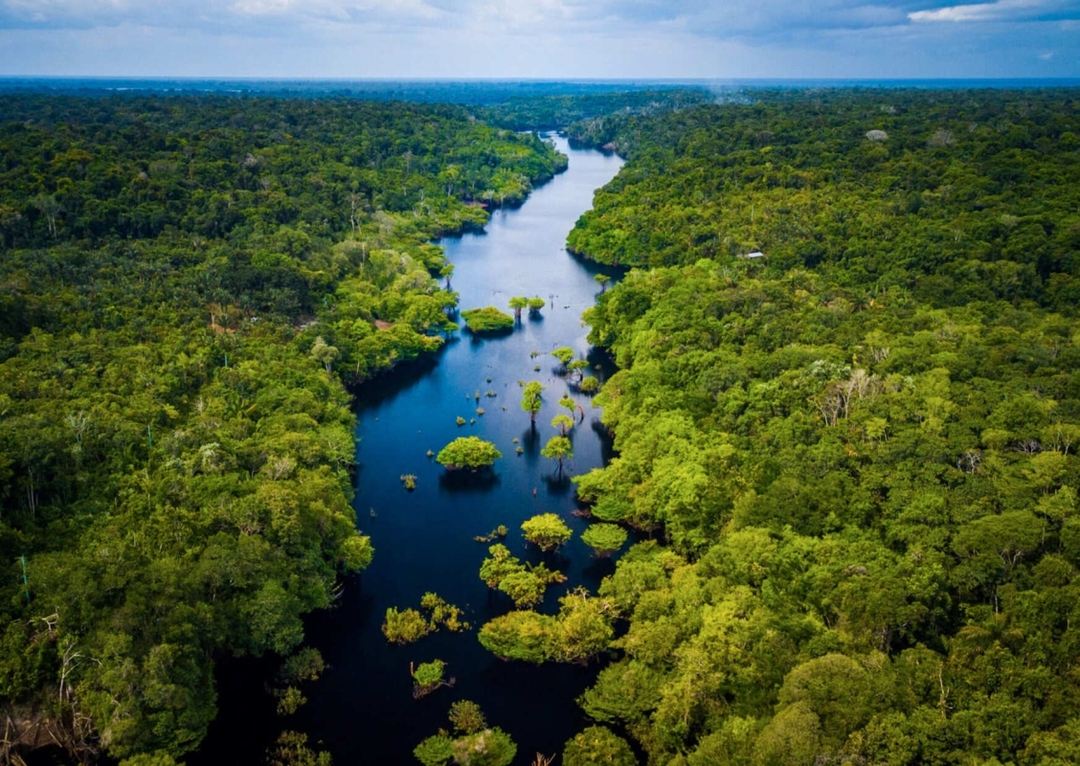 9 Days From Inca Ruins to the Rainforest 7