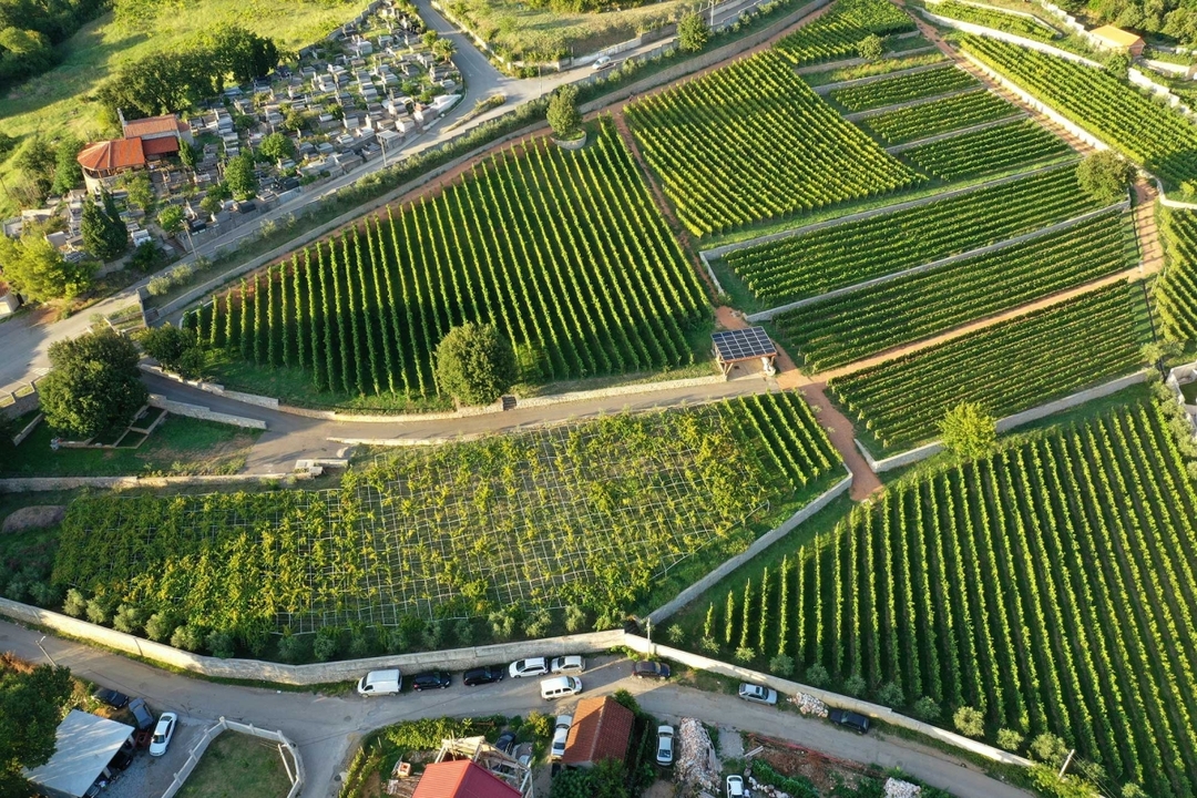 Wine & Spa Serbia 7