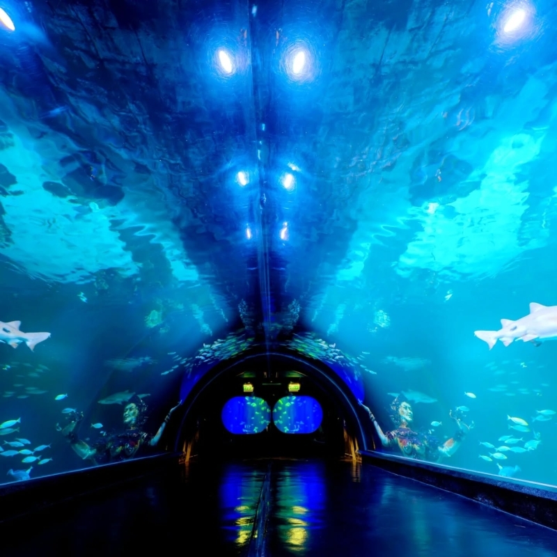 Aquaria Phuket and 4D Trickeye Museum Ticket 2