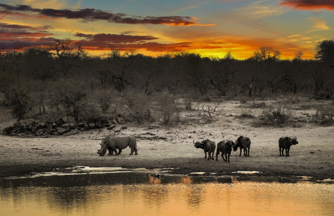 Classic 5-Day Safari – Maasai Mara, Lake Nakuru & Naivasha Rift Valley Circuit 4