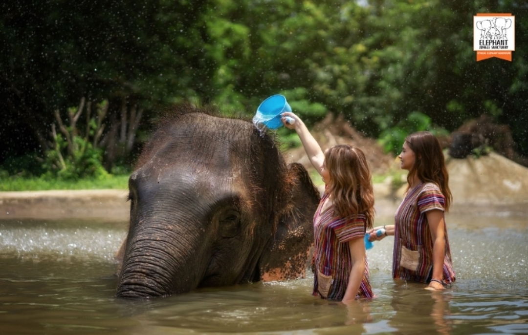 Half day Visit Elephant Sanctuary Samui 2