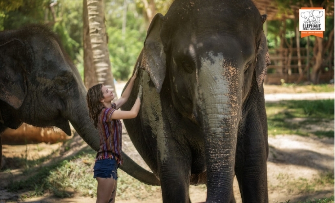 Half day Visit Elephant Sanctuary Samui 5