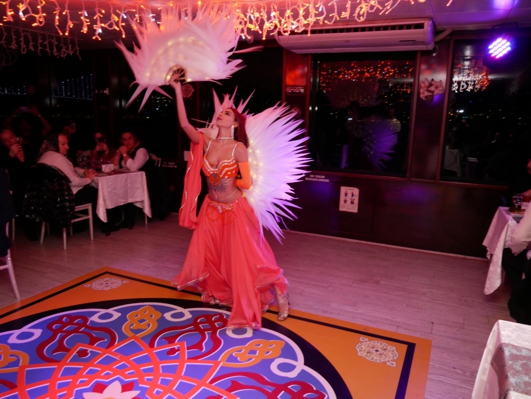 Istanbul Bosphorus Dinner Cruise & Turkish Night Show 7