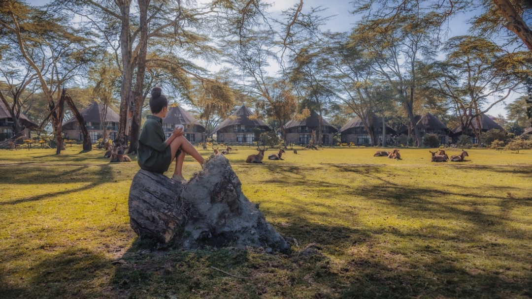 Wild & Scenic Kenya – A 7-Day Signature Safari 8
