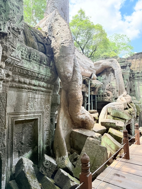 One Day Joining Trip-Angkor Wat, Angkor Thom & Ta Prohm 10
