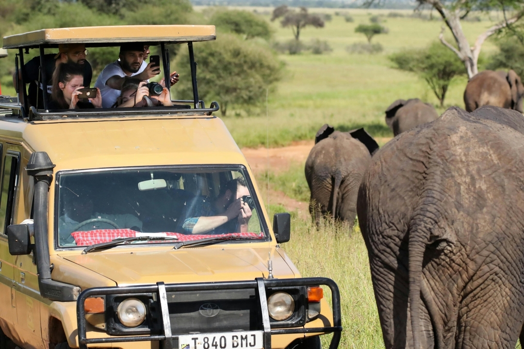 7 Days Mid Range Tanzania Safari 2