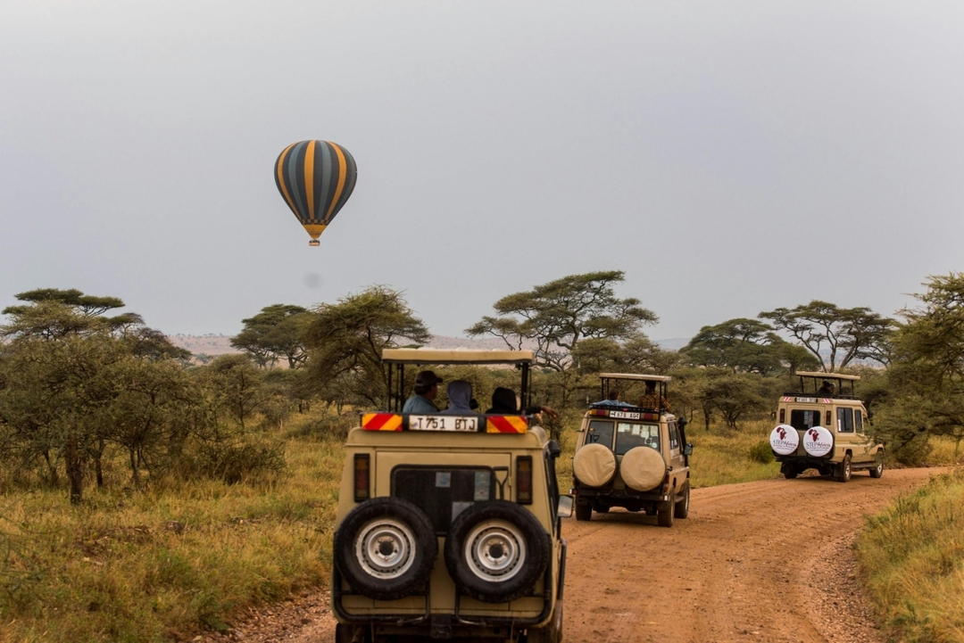 7 Days Mid Range Tanzania Safari 8