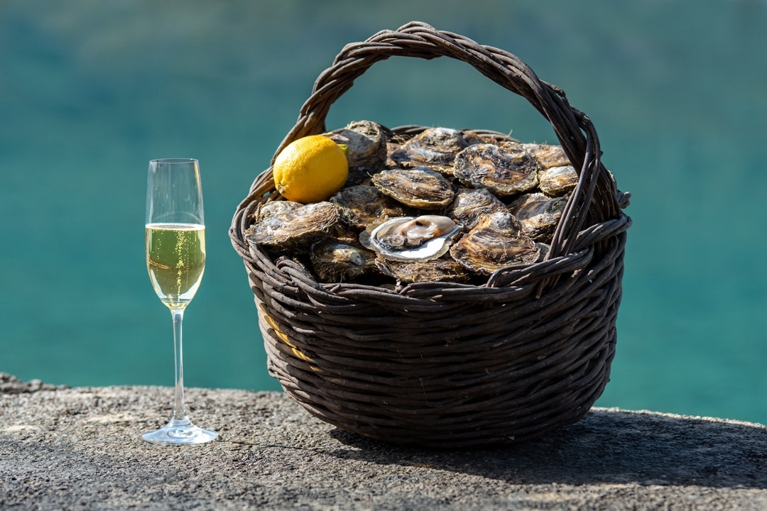Dubrovnik & Ston Day Trip from Split/Trogir – Walls of Salt & Oyster Gold 5