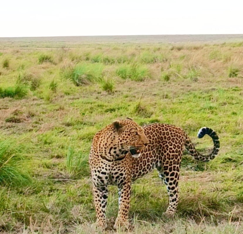 Kenya Bush & Beach Adventure Expedition 3
