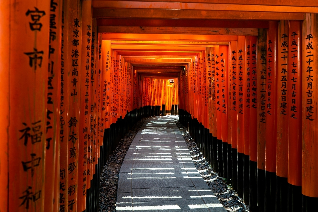 Japan Tour 8