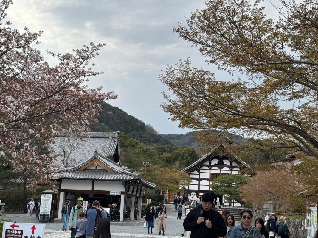 Japan Tour With Kyoto, Osaka, Hakone, Nara, Hiroshima and Miyajima 5
