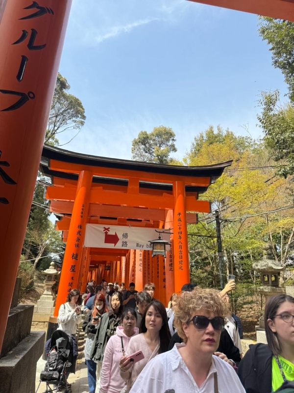 Japan Tour With Kyoto, Osaka, Hakone, Nara, Hiroshima and Miyajima 6