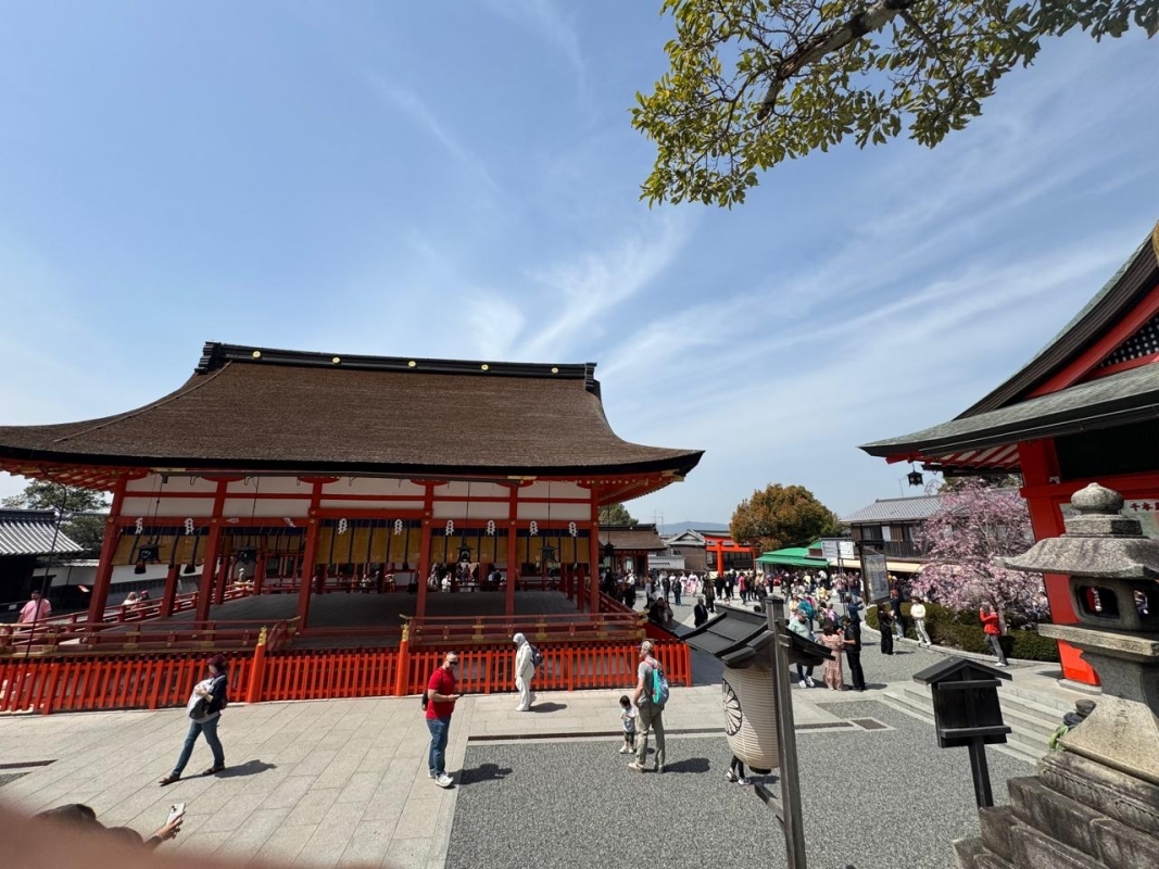 Japan Tour With Kyoto, Osaka, Hakone, Nara, Hiroshima and Miyajima 8