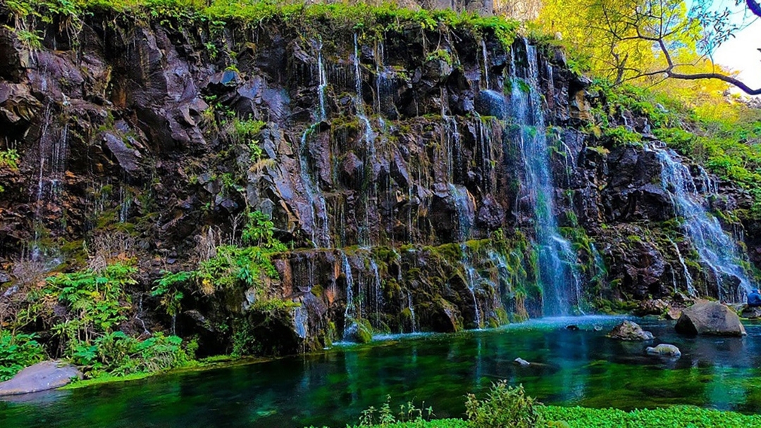 Dashbashi Canyon, Kojori & Samshvilde Tour from Tbilisi – Lower Kartli Adventure 4