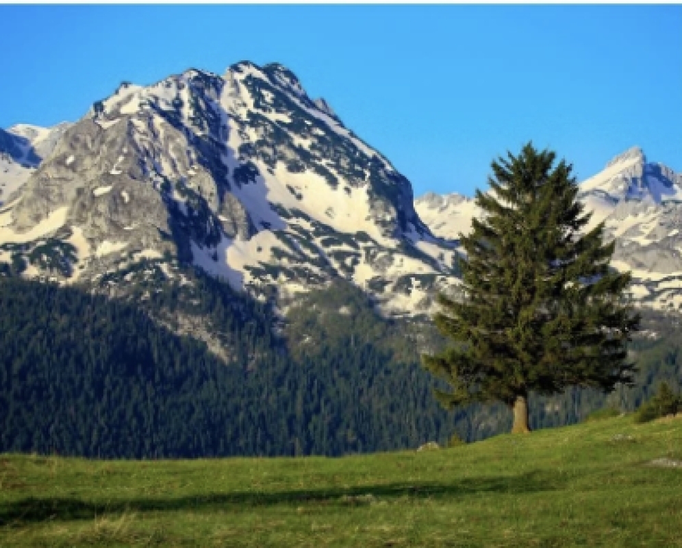 Durmitor, Black Lake & Tara Canyon Adventure 10