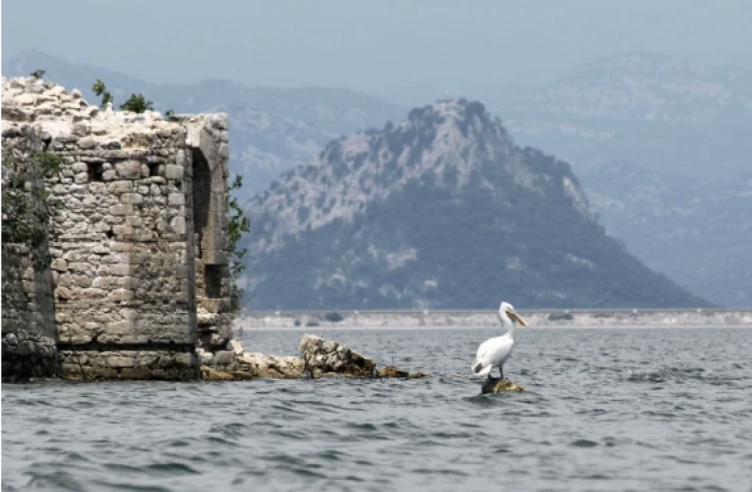 Fascinating Lake Skadar 6