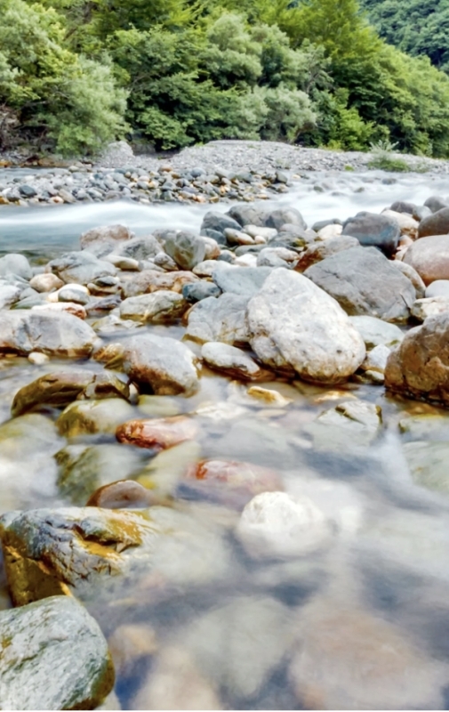 Tara Canyon Rafting, Zipline and Traditional Lunch ALL inclusive 3