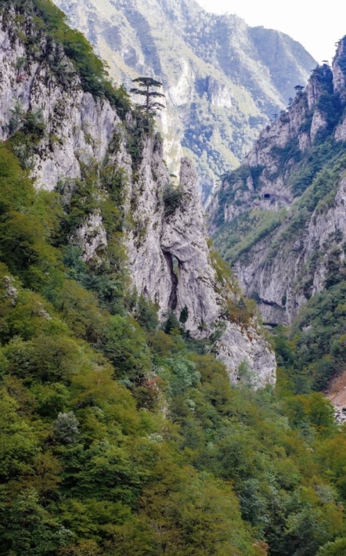 Tara Canyon Rafting, Zipline and Traditional Lunch ALL inclusive 4