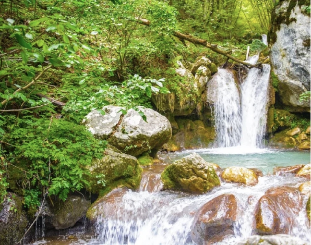 Tara Canyon Rafting, Zipline and Traditional Lunch ALL inclusive 8