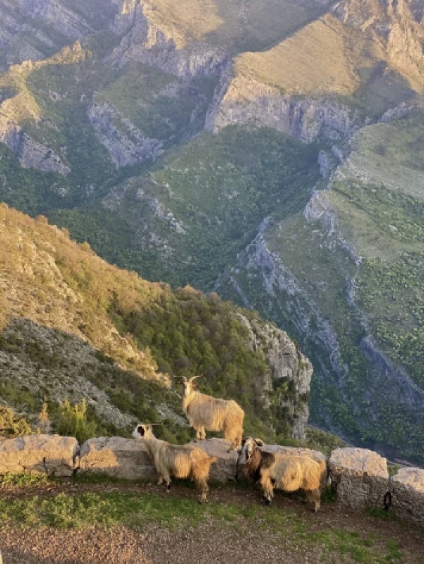 Montenegro Highlands Adventure: Hiking, History, and Culinary Delights 5