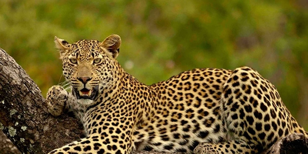 Kenya And Tanzania 13-Day Safari 3
