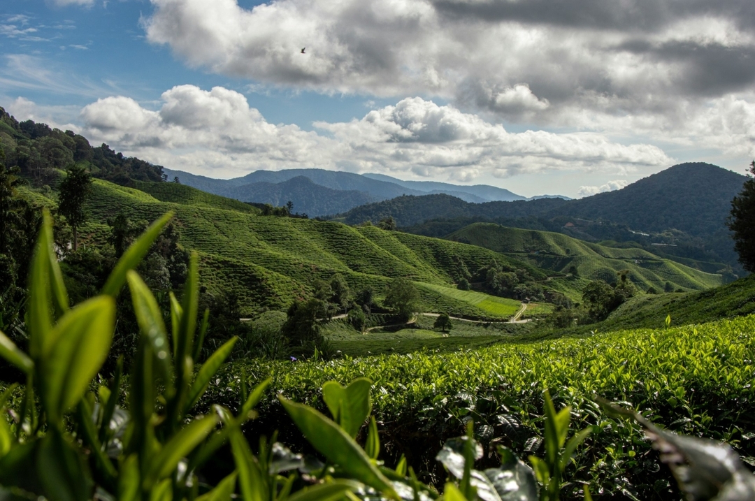 Peninsulas to Paradise: Malaysia, Singapore & Bali Journey (15D14N) 2
